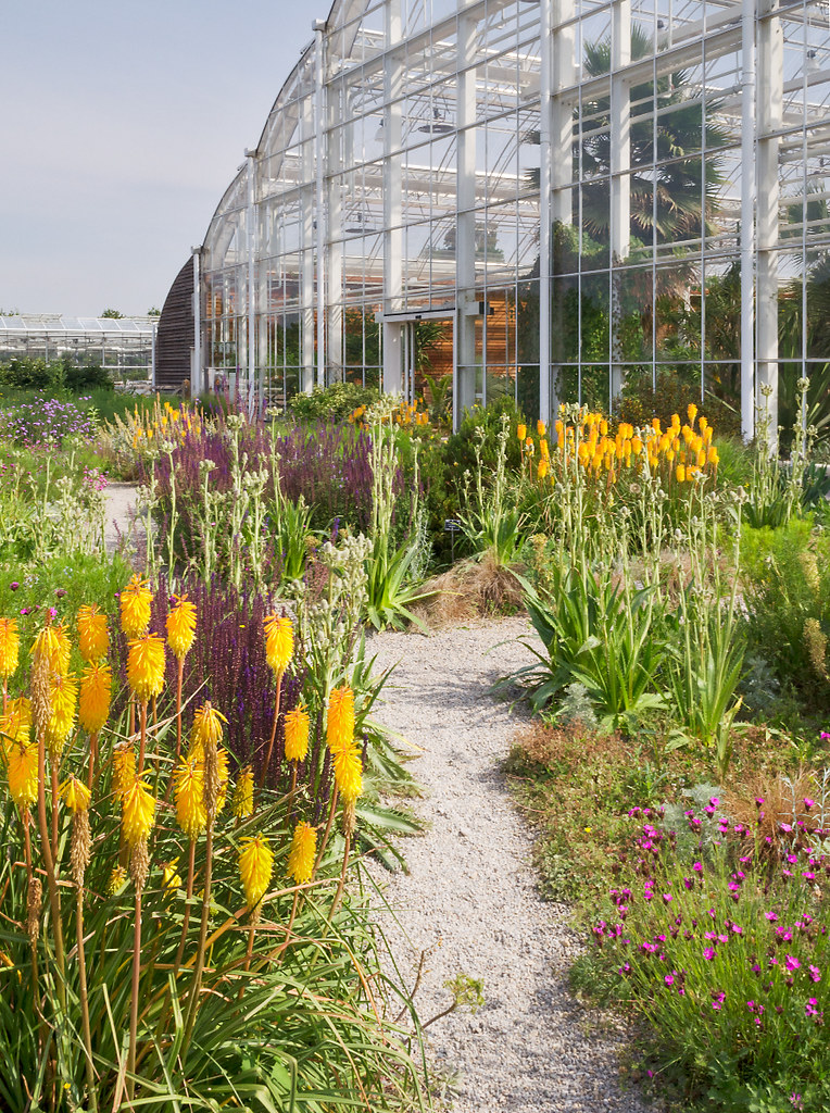 Gepflasterter Gartenweg zwischen Pflanzen